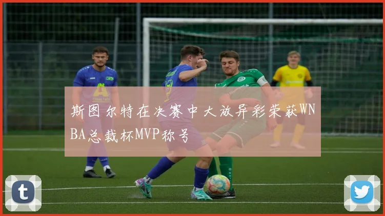 斯图尔特在决赛中大放异彩荣获WNBA总裁杯MVP称号