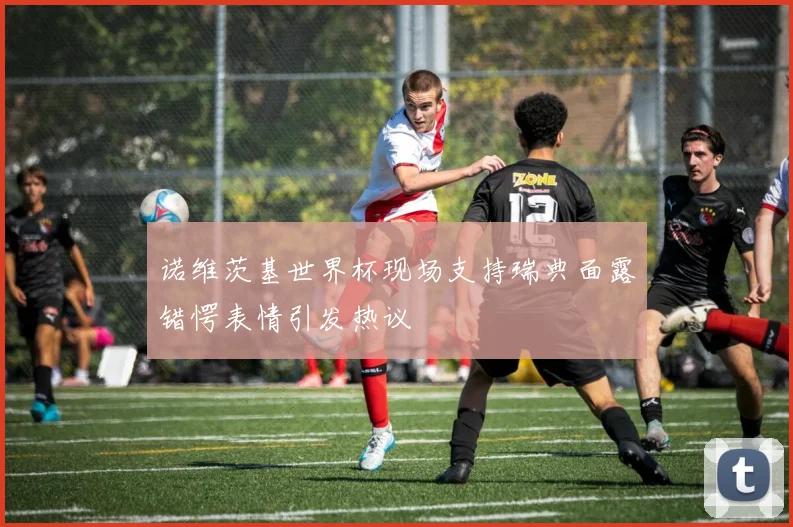 诺维茨基世界杯现场支持瑞典面露错愕表情引发热议