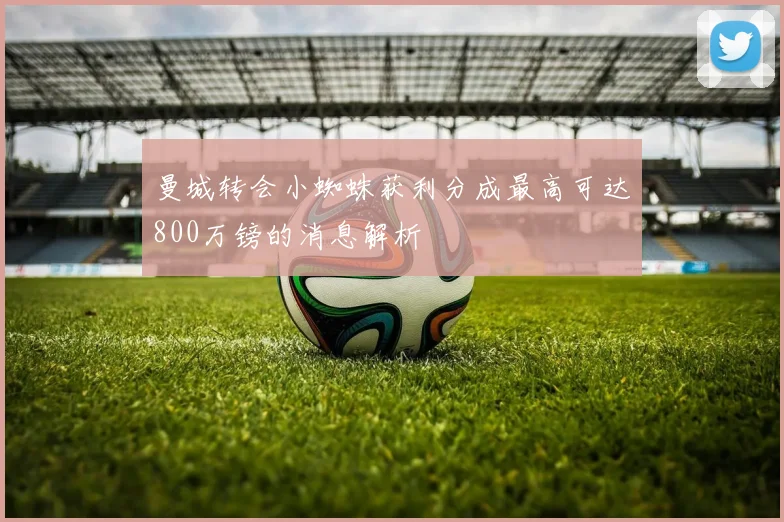 曼城转会小蜘蛛获利分成最高可达800万镑的消息解析